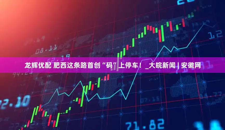 龙辉优配 肥西这条路首创“码”上停车！_大皖新闻 | 安徽网