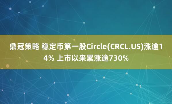 鼎冠策略 稳定币第一股Circle(CRCL.US)涨逾14% 上市以来累涨逾730%