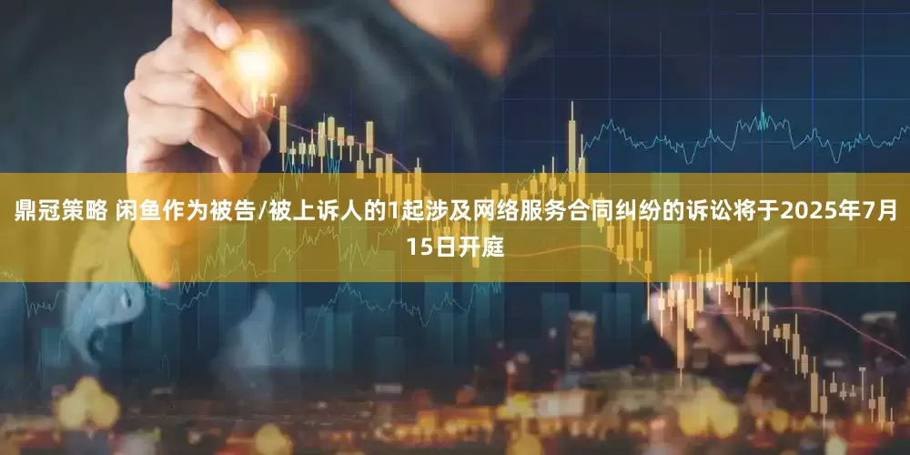 鼎冠策略 闲鱼作为被告/被上诉人的1起涉及网络服务合同纠纷的诉讼将于2025年7月15日开庭