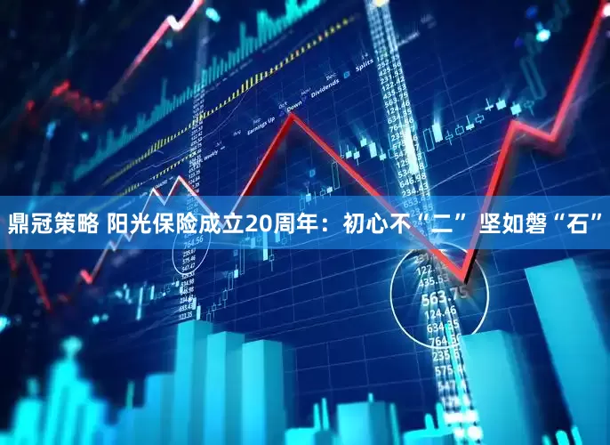 鼎冠策略 阳光保险成立20周年：初心不“二” 坚如磐“石”