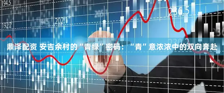 鼎泽配资 安吉余村的“青绿”密码：“青”意浓浓中的双向奔赴