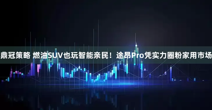 鼎冠策略 燃油SUV也玩智能亲民！途昂Pro凭实力圈粉家用市场