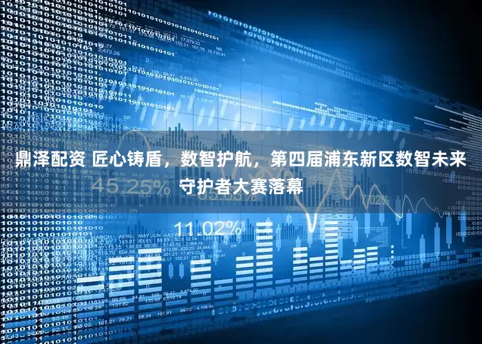 鼎泽配资 匠心铸盾，数智护航，第四届浦东新区数智未来守护者大赛落幕